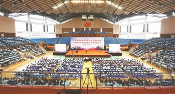 创新金融服务手段 提供正规金融产品